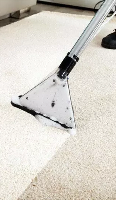 Carpet Cleaning Equipment